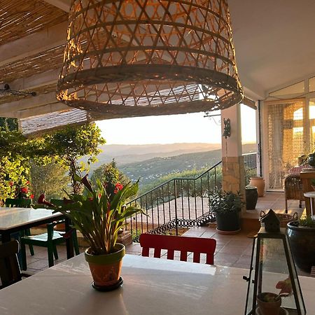 Bed and Breakfast El Nispero Dulce Алькаусин Экстерьер фото